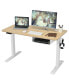 48 Inches Electric Standing Adjustable Desk with Control Panel and USB Port