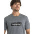 ფოტო #3 პროდუქტის ICEBREAKER 150 Tech Lite II Natural Shades Logo Merino short sleeve T-shirt