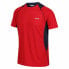 REGATTA Virda IV short sleeve T-shirt