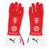 Puma Jv X Racing Gloves Mens Red 94063201