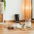 ფოტო #6 პროდუქტის CECOTEC Pumba 6000 Purrfect Meal Smart Vision Pet Feeder