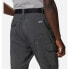 Фото #5 товара COLUMBIA Silver Ridge™ Utility Pants