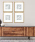Echinacea Framed Art, Set of 4