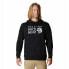 Фото #1 товара MOUNTAIN HARDWEAR Logo hoodie