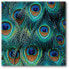 Фото #1 товара Peacock Gallery-Wrapped Canvas Wall Art - 16" x 16"
