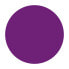 Colour Purple