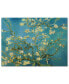 Фото #1 товара Vincent van Gogh 'Almond Branches In Bloom 1890' Canvas Art - 32" x 24"