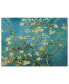 Vincent van Gogh 'Almond Branches In Bloom 1890' Canvas Art - 32" x 24"