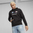 Фото #3 товара PUMA BMW Mms Ess F hoodie