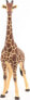 Фото #1 товара Фигурка Papo Giraffe male Animal Collection (Коллекция животных)