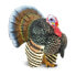SAFARI LTD Turkey Figure