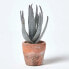 Фото #3 товара Искусственные цветы Homescapes Klein Künstliche Echte Aloe Vera