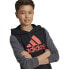 Фото #7 товара ADIDAS Big Logo Colorblock hoodie