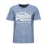 SUPERDRY Vl Scripted Coll T-shirt