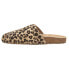 Фото #3 товара COCONUTS by Matisse Zella Leopard Buckle Mules Womens Brown Flats Casual ZELLA-0