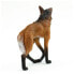 Фото #5 товара SAFARI LTD Manet Wolf Figure