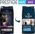 Royal Canin PN PRESTIGE PIES 15kg PUPPY MAXI promo