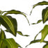 Декоративное растение Широкое лезвие Зеленый Пластик (70 x 120 x 70 cm)