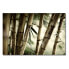 Фото #1 товара Картина WandbilderXXL Лес бамбука