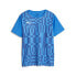 ფოტო #1 პროდუქტის PUMA Individual Rise Graph short sleeve T-shirt
