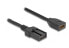 Фото #3 товара Разъем для HDMI Delock 87905 - 3 м - HDMI Type A (Standard) - HDMI Type E - 18 Gbit/s - Черный.
