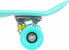 Deskorolka Nils Extreme PENNYBOARD CLASSIC GREEN NILS EXTREME