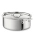 Фото #1 товара Stainless Steel 6 Qt. Covered Stockpot