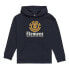 Фото #1 товара ELEMENT Vertical hoodie