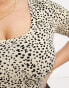 ASOS DESIGN Curve skinny fit t-shirt body in mini leopard print