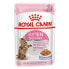 ROYAL CANIN Kitten Sterilised Wet Cat Food Белый / розовый - фото #2