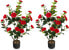 Kamelienbaum TL32300 （2er Set）