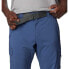 Фото #4 товара COLUMBIA Silver Ridge™ Extended Pants