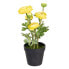 Фото #1 товара Декоративное растение полиэстер полиэтилен Железо Цветок 12,5 x 12,5 x 37 cm