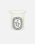 Diptyque Ambre Candle