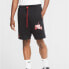 Jordan Jumpman Classics Shorts CU2907-011