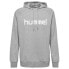 Фото #2 товара HUMMEL Go Cotton Logo hoodie