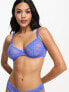 ASOS DESIGN Fuller Bust Alexis lace underwire bra with picot trim in cobalt blue
