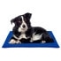 ფოტო #1 პროდუქტის NAYECO 50x90 cm Refreshing Gel Pet Mat