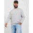 Фото #1 товара JACK & JONES Bradley Plus Size sweatshirt