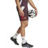 Фото #4 товара ADIDAS FC Bayern Munich 24/25 training shorts