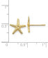 Фото #3 товара Starfish Stud Earrings in 14k Gold