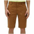 Фото #3 товара Спортивные шорты Dickies Slim Fit Rec Коричневый Светло-коричневый
