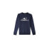 O'Neill Logo Crew Jr Sweatshirt 92800614996