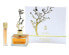 Фото #2 товара Deciduous Summer - EDP 100 ml + EDP 9 ml