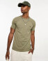 French Connection crew neck t-shirt in light khaki