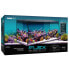 ფოტო #1 პროდუქტის FLUVAL Flex Marino 123L aquarium