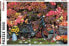 Фото #1 товара Piatnik Puzzle 1000 Jesienne Impresje PIATNIK