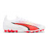 Puma Ultra Ultimate MG M 107506 01 shoes