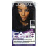 Фото #1 товара Краска для волос L´OREAL Feria, Power Violet, High-Intensity Shimmering Colour, V28 Midnight Violet, 1 Application