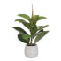 Фото #1 товара Декоративное растение Зеленый PVC Дуб 58 cm